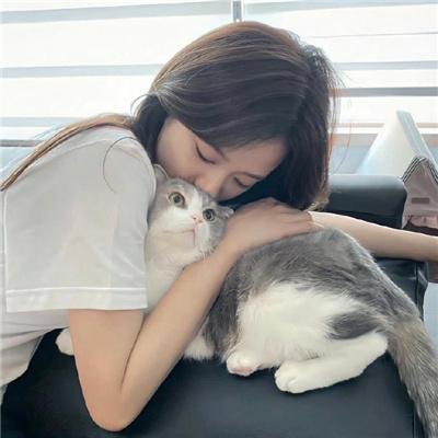 黑狐之风影 海报